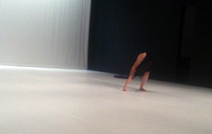 Isabelle Schad / Laurent Goldring, 'Unturtled #1'